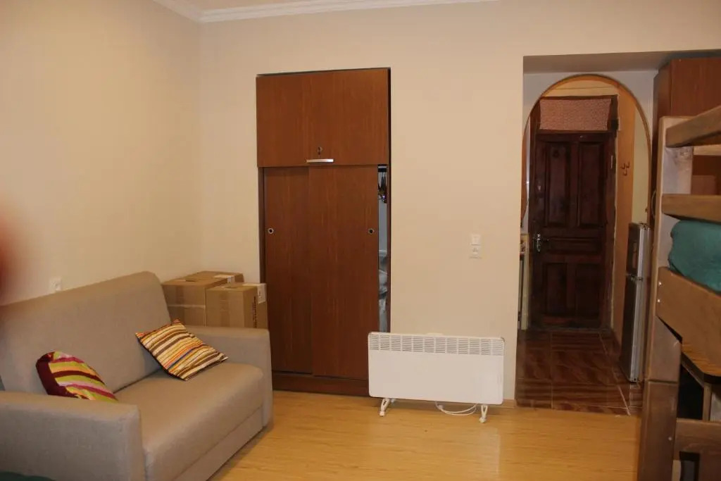Comfortable Flat In The Center Of Borjomi