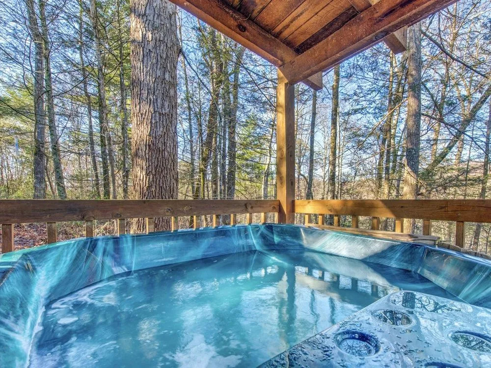 Bear Cave Haus