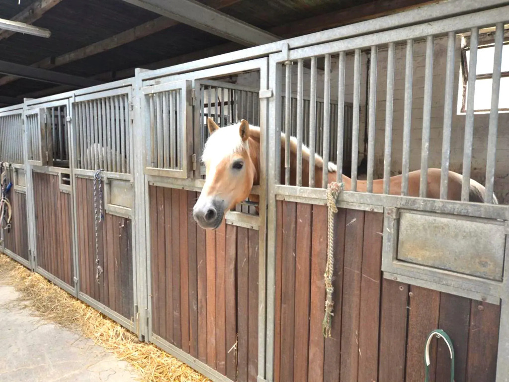 Well -kept apartment in Juechen on a horsefarm