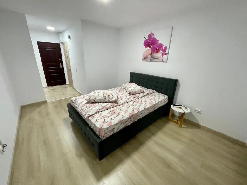 Garsoniera moderna 1
