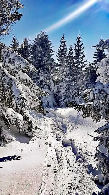 Milmari Lux Apartment N74 Kopaonik