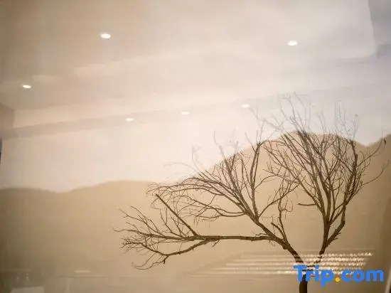 Jingyin · Lume Mountain View & Mist Private Hot Spring Boutique Inn, Anji Yunshang Grassland