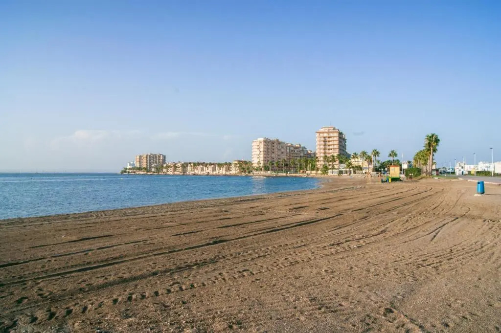 Luz Bahía