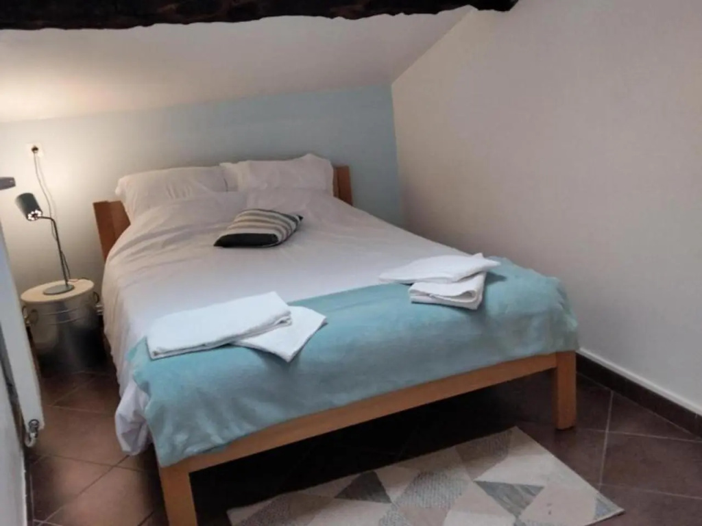 Gîte 3 chambres avec hammam, sauna et jacuzzi à Cellieu - FR-1-496-8