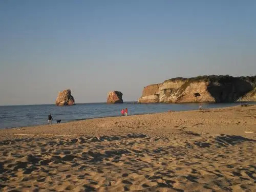 Larraenea Bed and Breakfast