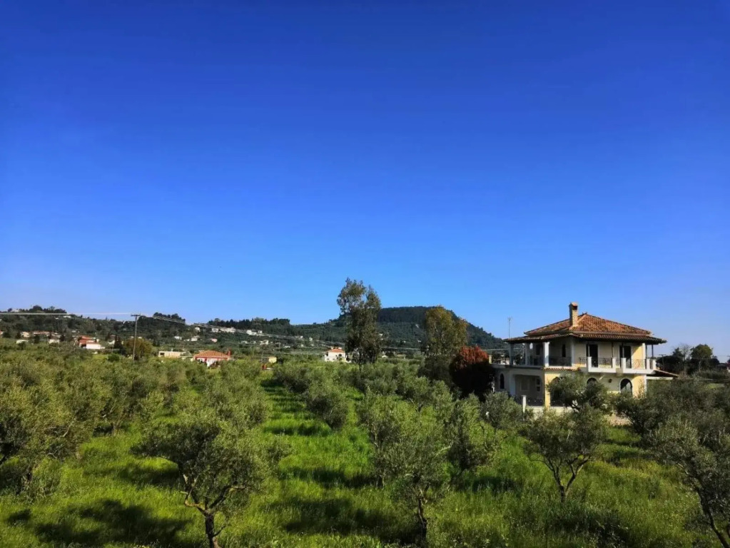 Tsilivi Blue Vista Apartment