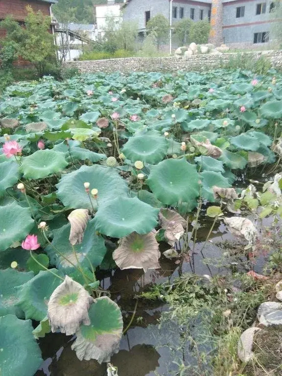 Sanyingshan Yi Inn