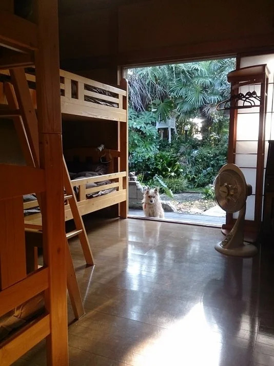 Tsuki no Yado - Hostel