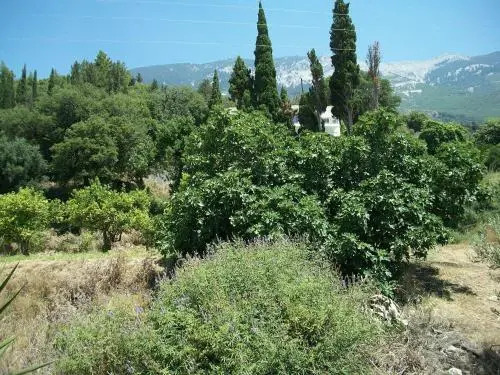 Flat 1 Bedroom 1 Bathroom - Lourdata