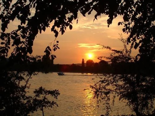 Zur Rheinschanz