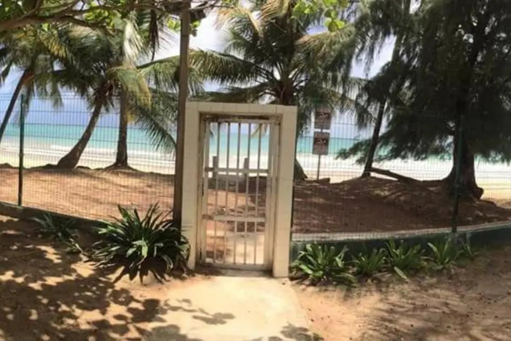 Beach Studio at IVT 4