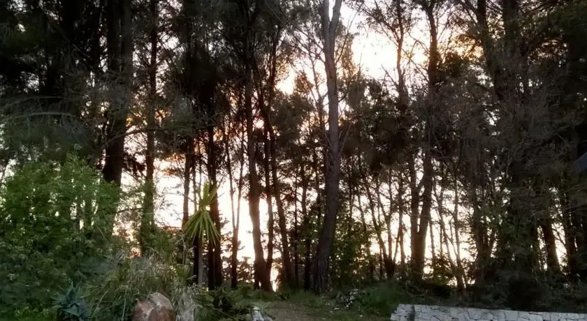 Trullo Sottoleucalipto