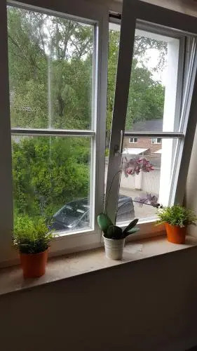 Weiss Ferienwohnung 2