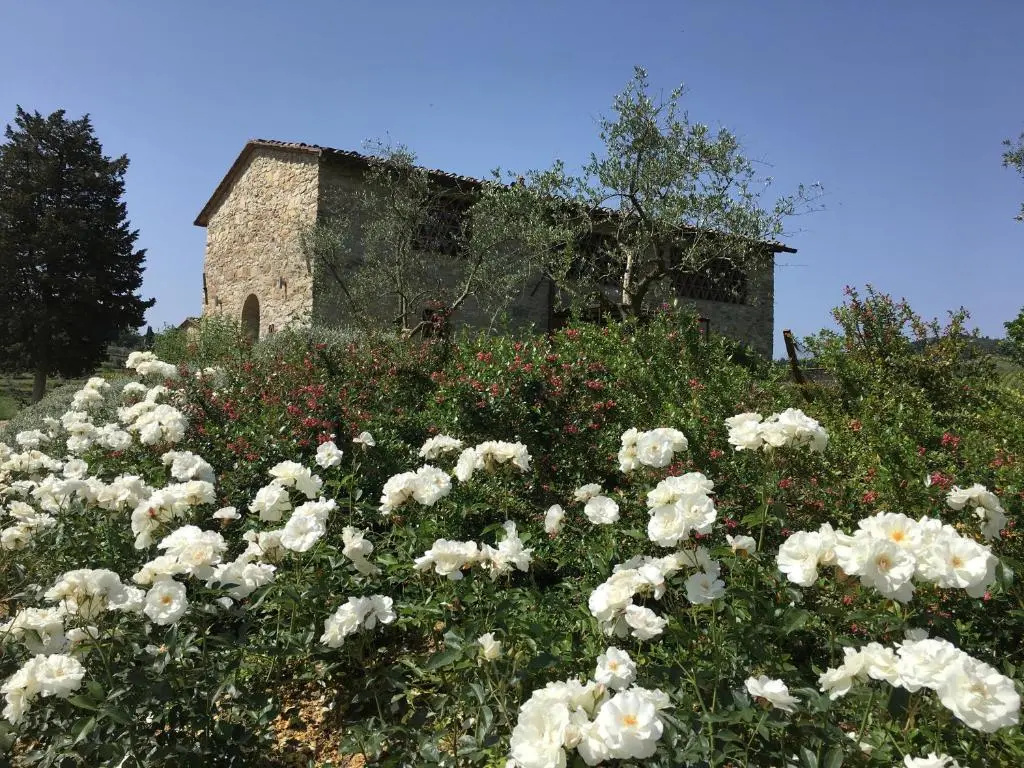 Borgo Del Cabreo