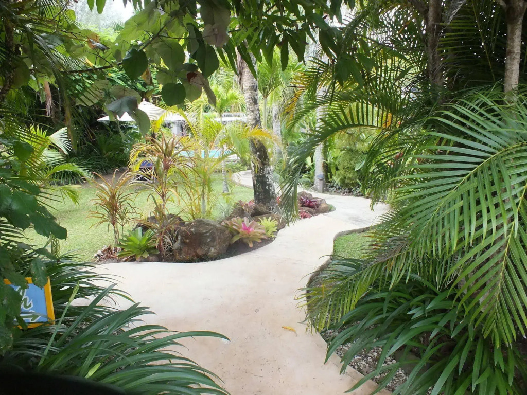 Rarotonga Daydreamer Escape