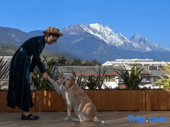 Judy‘s Country House
