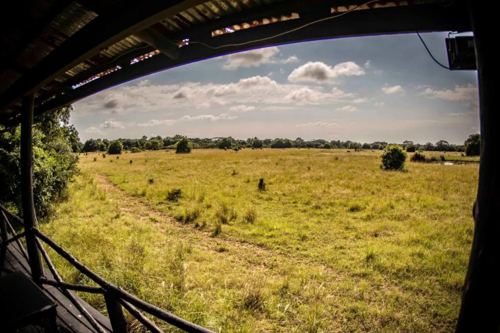 Gooderson Bushlands Game Lodge