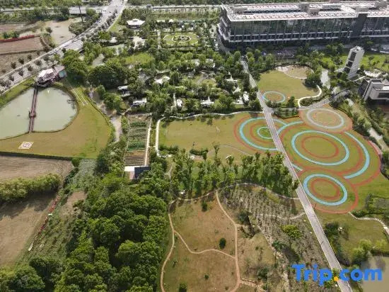 Leqi Wuzhen Holiday Camp