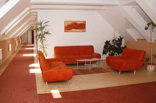 Hotel Allvet