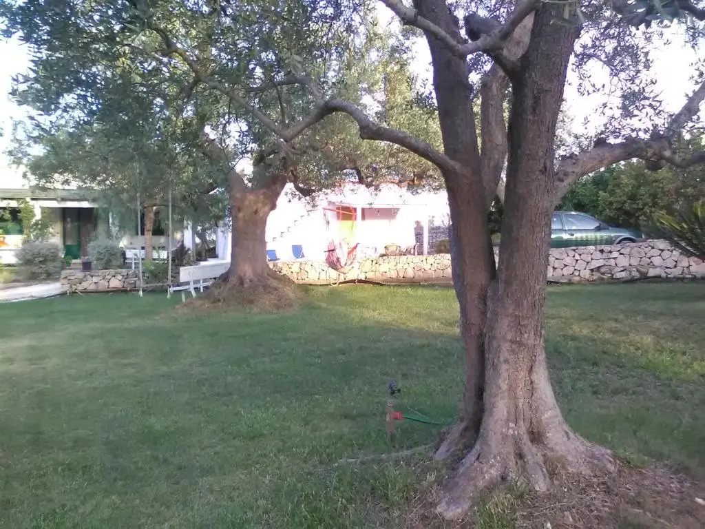 La casa degli artisti