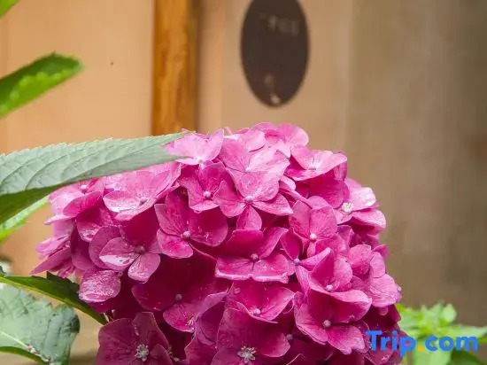 Zhangjiajie Yunshangde Jia Qianzhutang Homestay