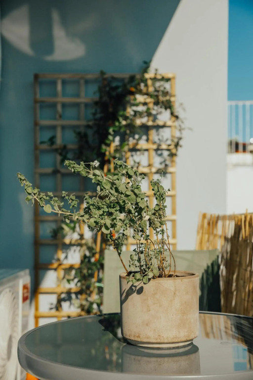 Bango Loft
