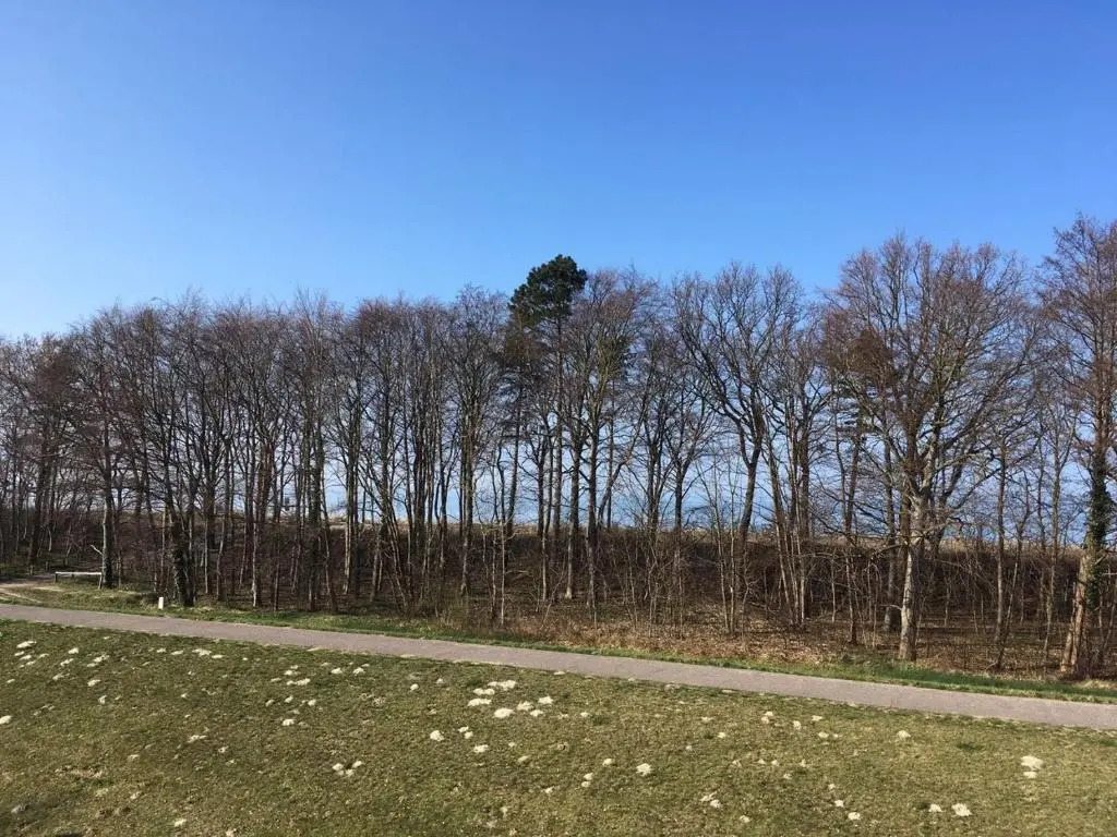 Villa Strandblick 8