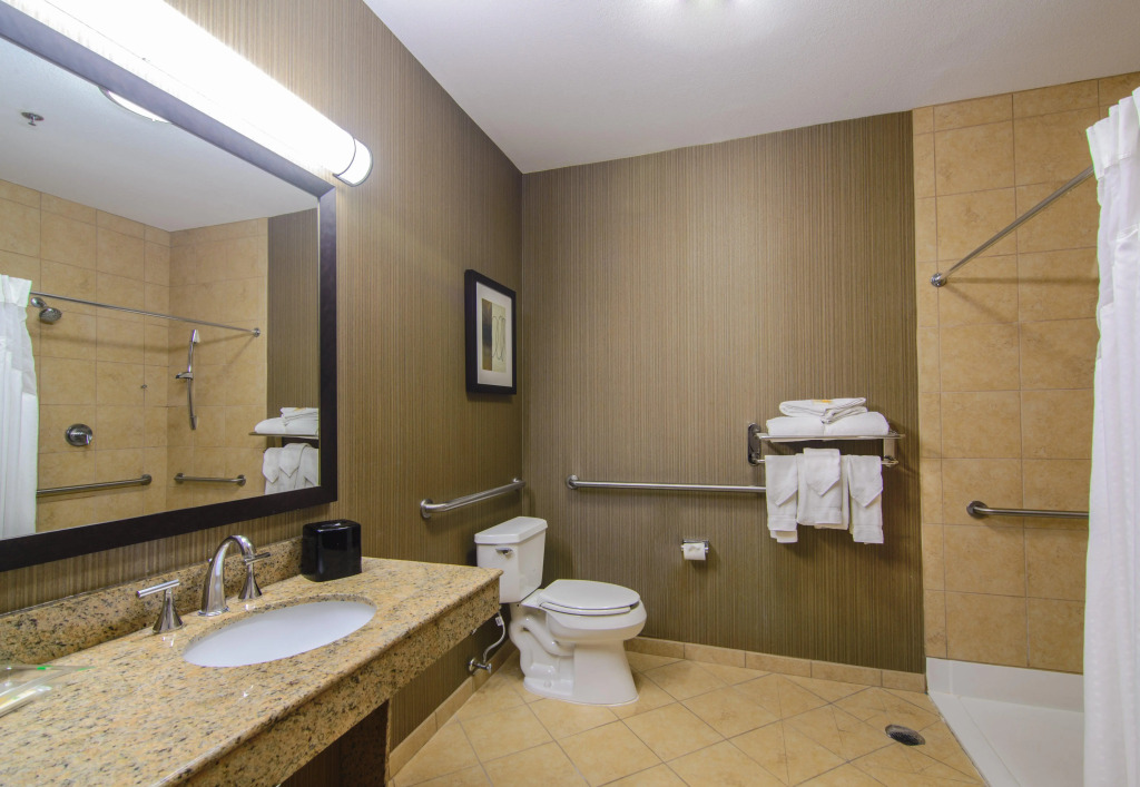 Holiday Inn Arlington NE-Rangers Ballpark by IHG