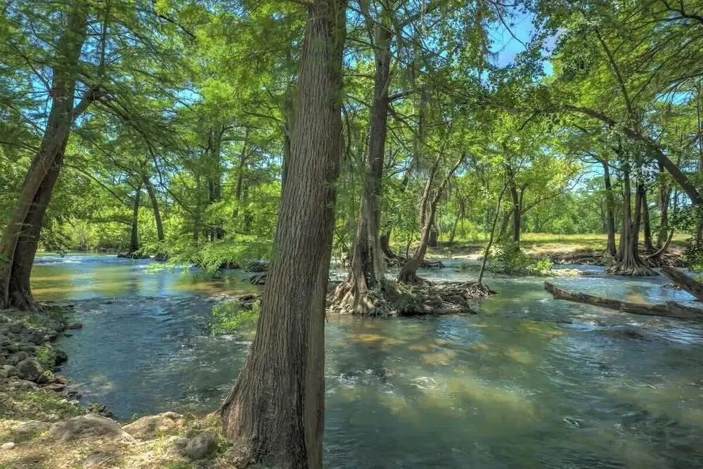 Life is Gruene-riverfront Luxury-1mi To Gruenehall