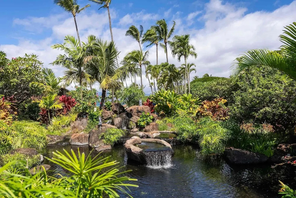 Napili Shores A203 Of Studio Condo by RedAwning