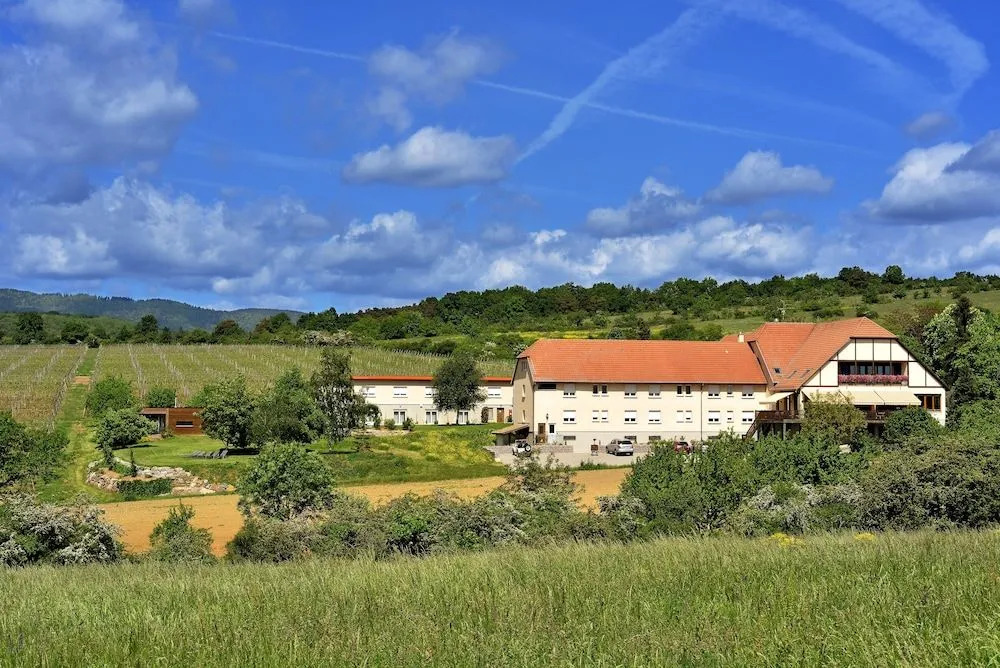 Hôtel du Bollenberg - Restaurant "Côté Plaine" - Spa de la Colline