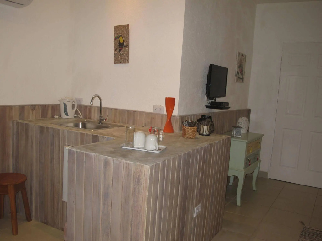 Casa Mapache Pool and Breakfast Included near Tamarindo Beach