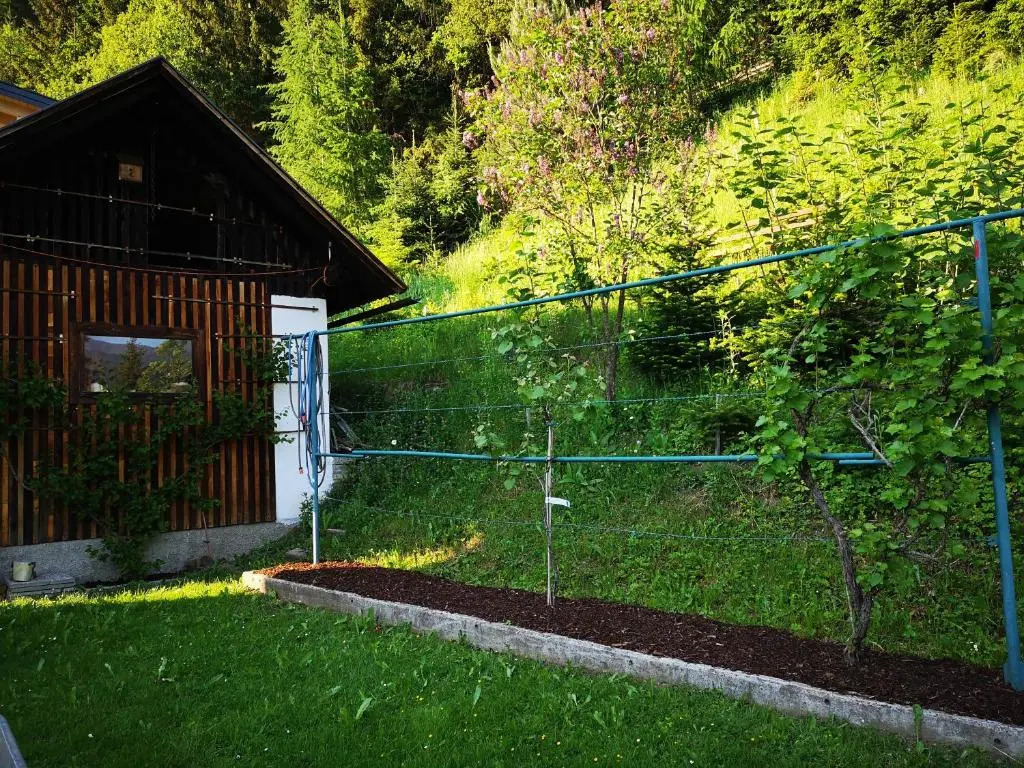 Ferienwohnung Haus Pirkebner