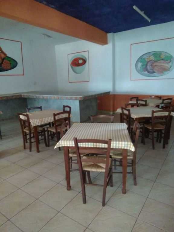 Zebra Resort And Spa