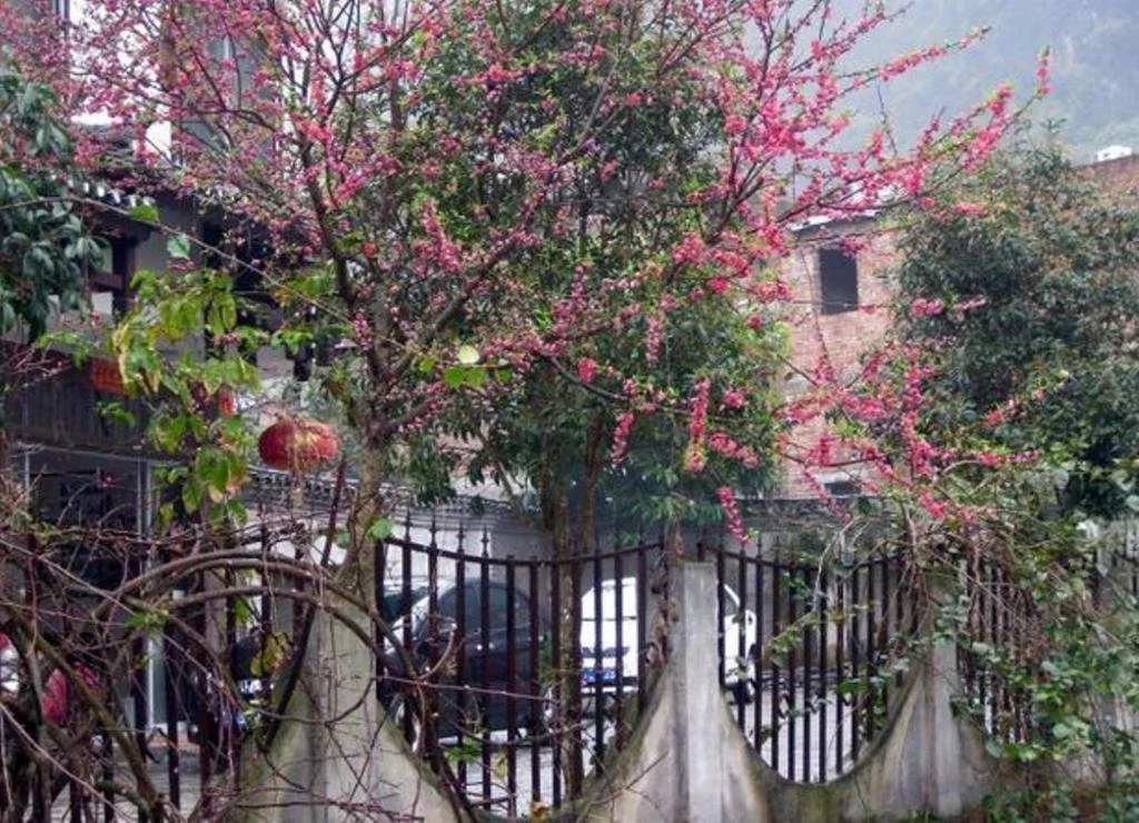 Yangshuo Fengquan Holiday Hotel