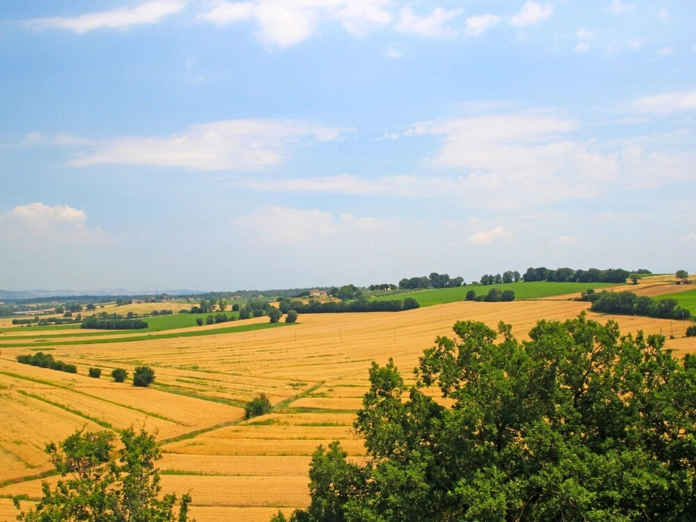 Borgo Monticelli Castiglione Della Valle
