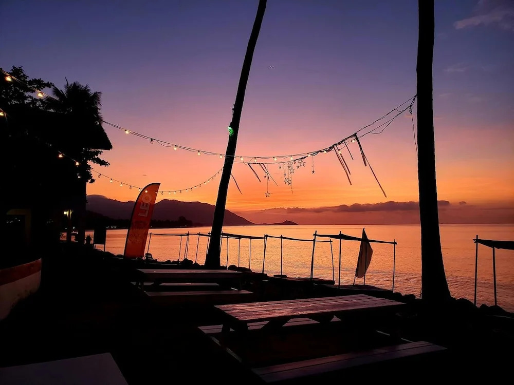 Asia Blue - Beach Hostel Hacienda - Single bed in 10-bed Dormitory Room