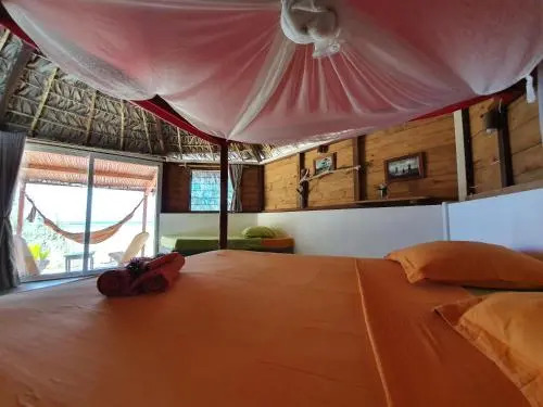 Ocean Lodge Kite & Windsurf