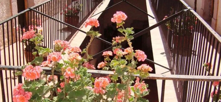 Hotel Posada Morelos