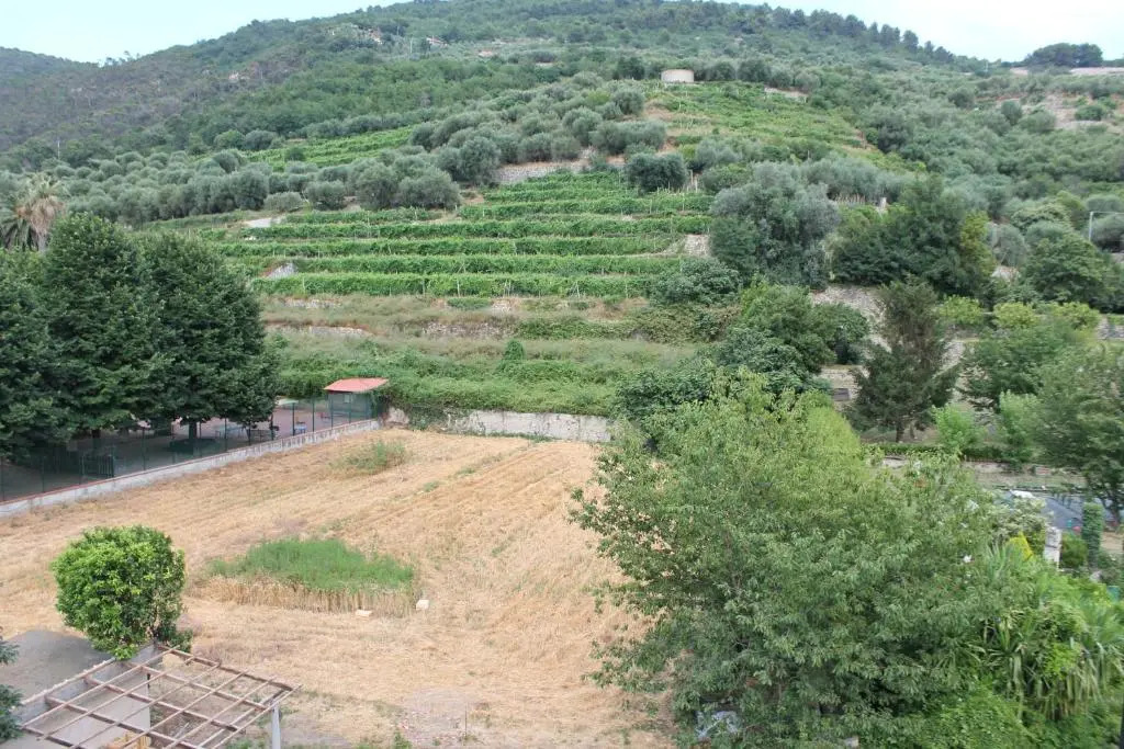 La Giara