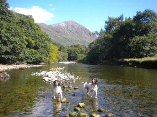 Heart of Glencoe Holidays