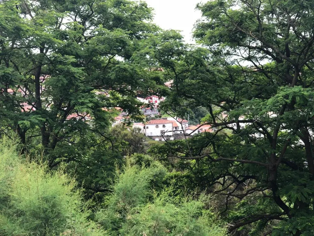 Pensión Basagoiti