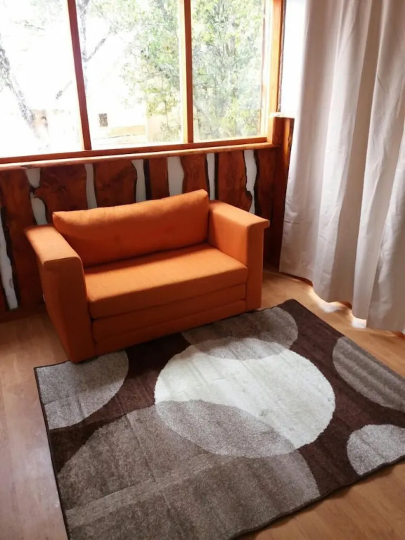 Lodge Palguin Alto