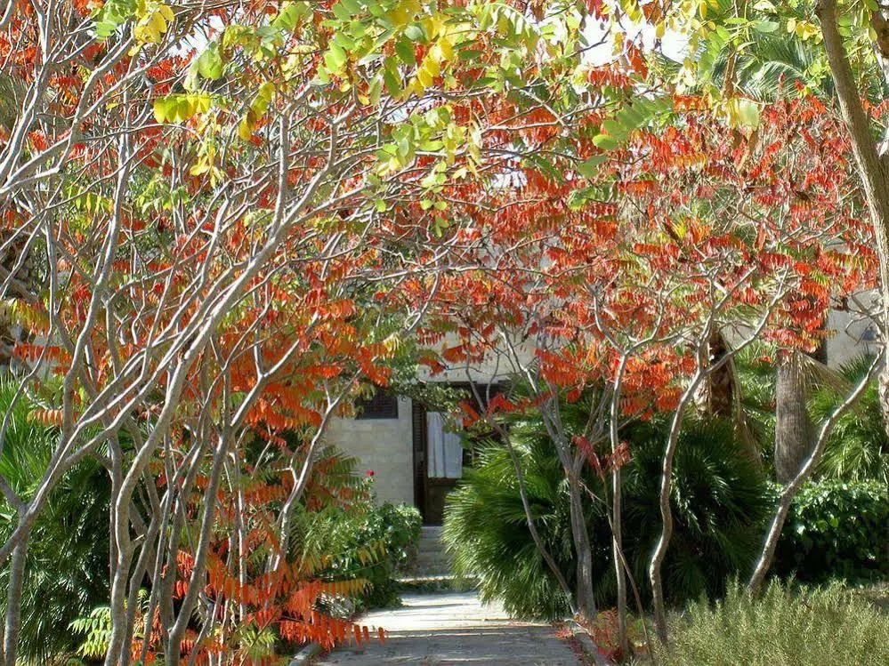 Masseria Il Cardinale