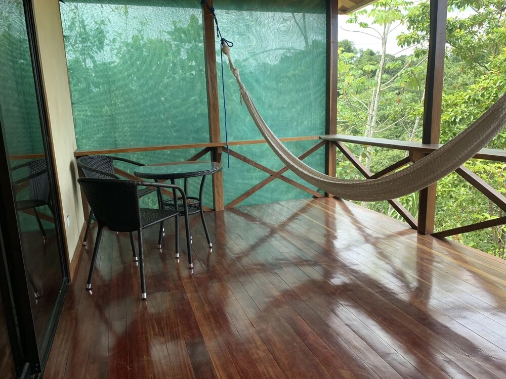 Studio Cecropia Primary Forest View