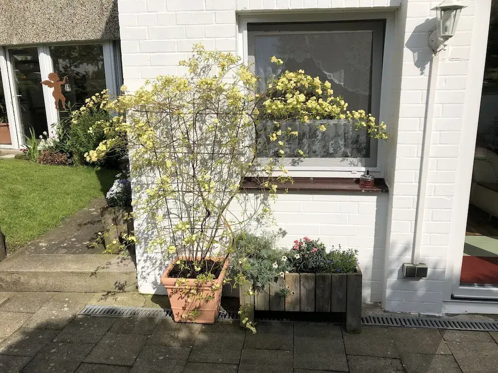 Ferienwohnung Dettum