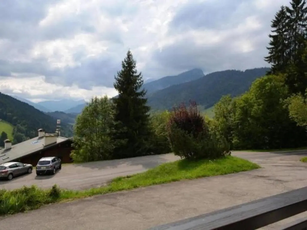 Appartement Le Grand-Bornand, 1 pièce, 4 personnes - FR-1-241-141