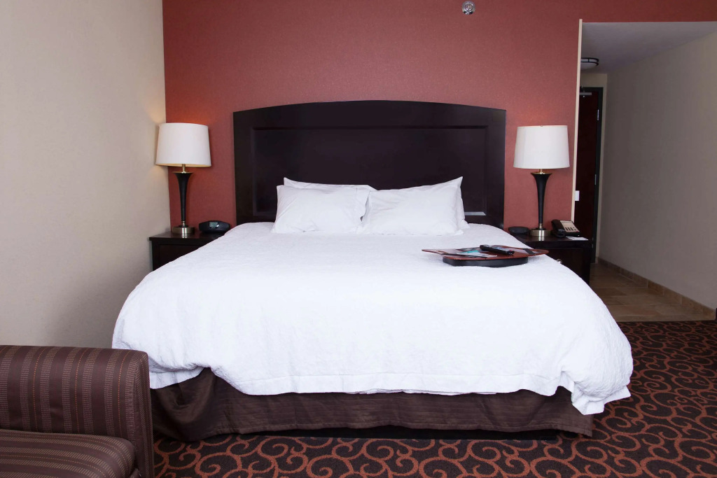 Hampton Inn & Suites Dickinson ND