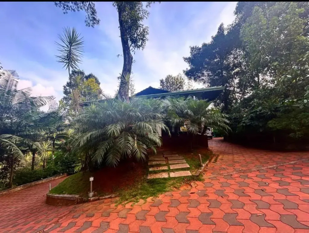Young Island - Coorg