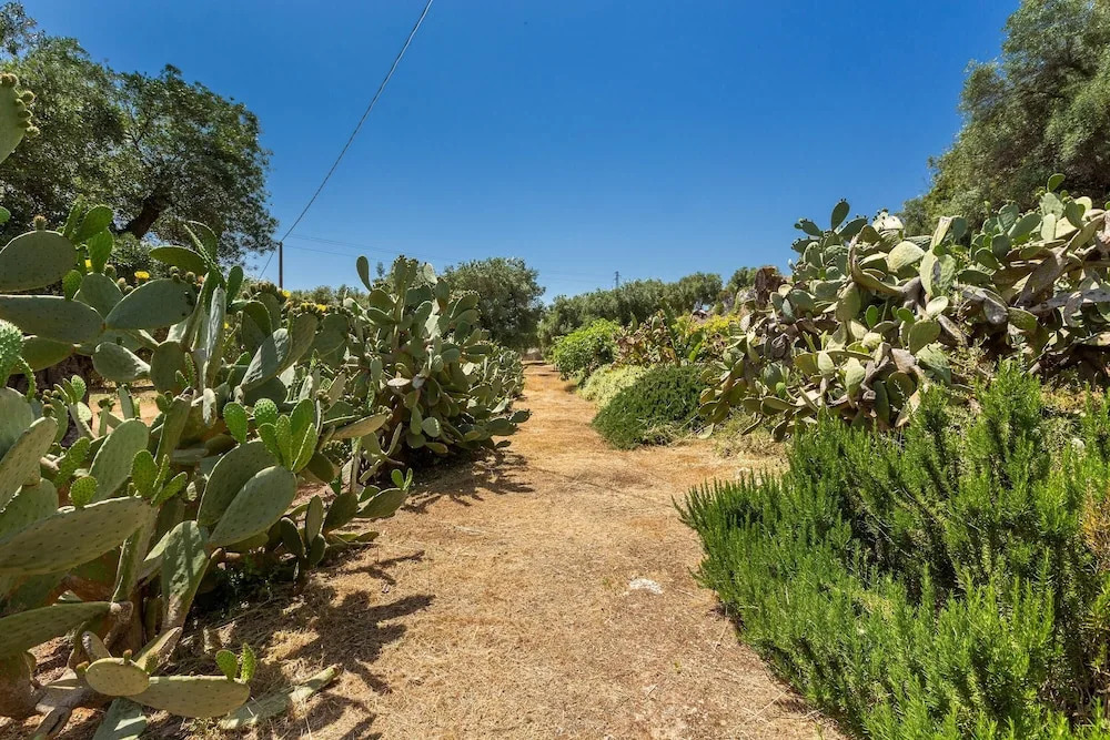 2788 Masseria La Cazzigna by Perle di Puglia
